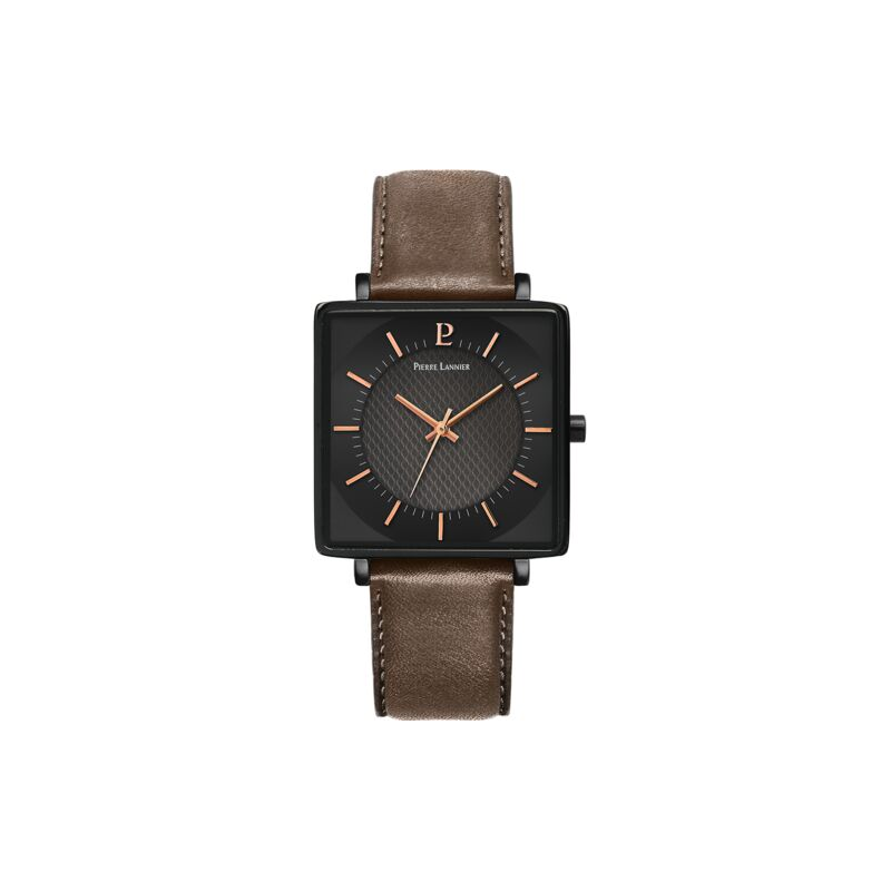 Pierre Lannier LECARE